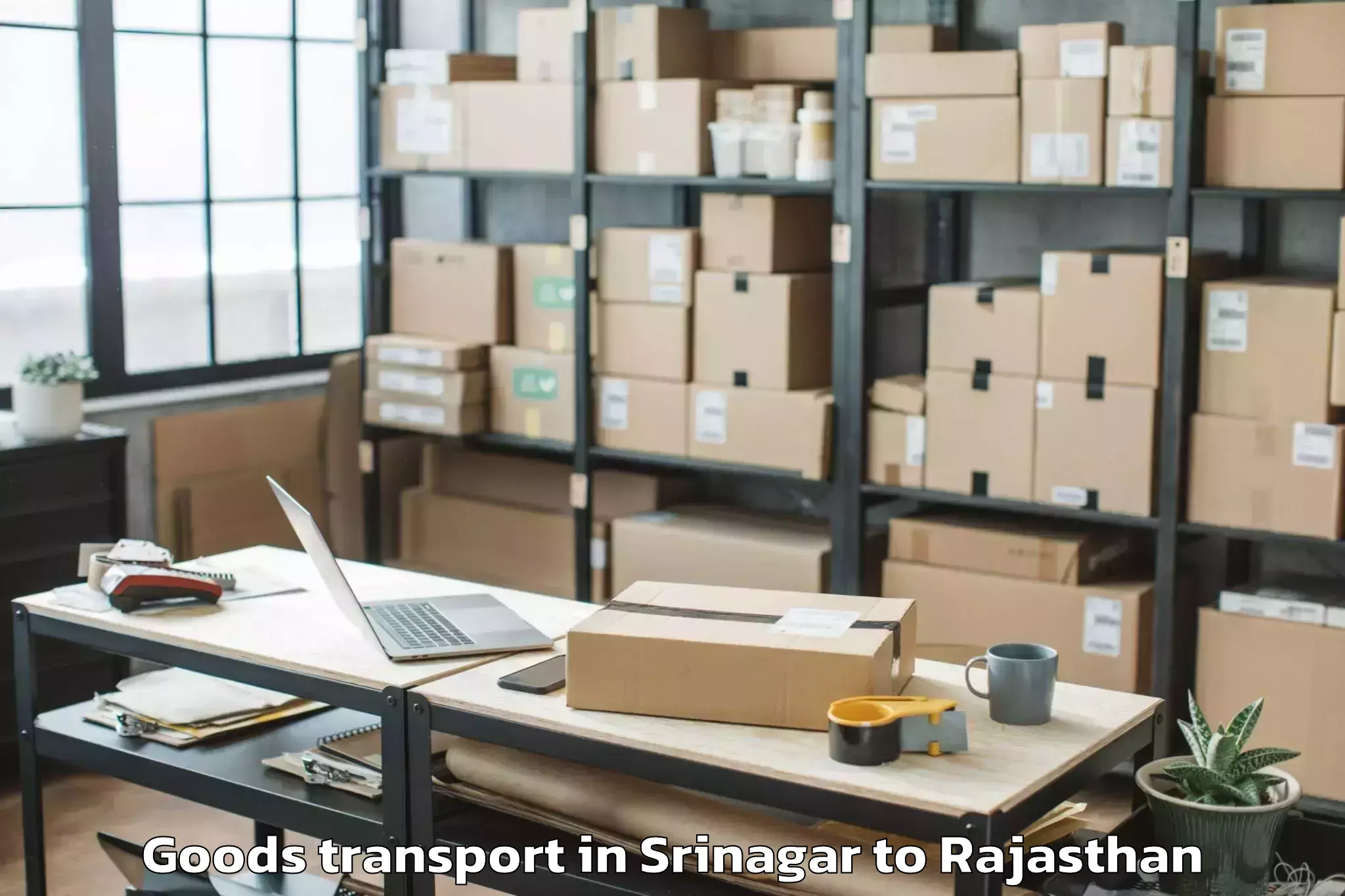 Easy Srinagar to Pipalda Goods Transport Booking